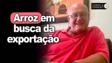 Arroz em busca da exportação, informa Vlamir Brandalizze