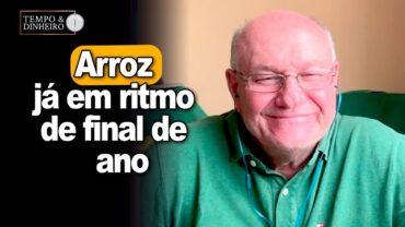 Arroz já em ritmo de final de ano, afirma Vlamir Brandalizze