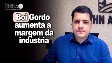 Boi gordo: aumenta margem da indústria na maior relação de preços desde 2023, avalia Hyberville Neto