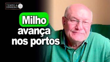 Milho avança nos portos, Vlamir Brandalizze explica
