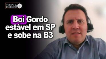 Boi gordo encontra estabilidade em SP e sobe na B3. Mudança de tendência? Bernardino comenta