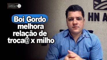 Boi gordo: melhora relação de troca @ x milho. Hyberville Neto comenta