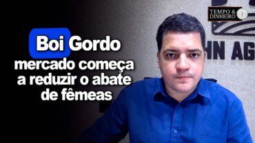 Boi gordo: mercado começa a reduzir o abate de fêmeas? Está dando sinais? Hyberville Neto explica