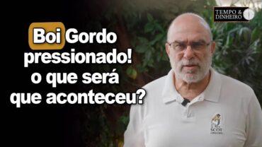 Boi gordo pressionado. O que pode ter acontecido para essa pressão? Alcides Torres tem uma opinião