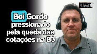 Boi gordo pressionado no físico pela queda das cotações na B3? Thiago Bernardino comenta o mercado