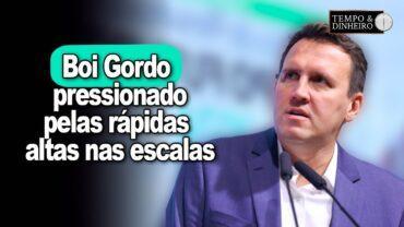 Boi gordo começa dezembro pressionado pelas rápidas altas nas escalas de abate, informa Bernardino