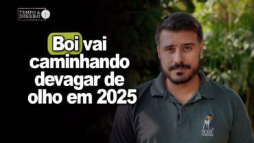Boi vai caminhando devagar de olho em 2025. Análise de Felipe Fabbri, da Scot Consultoria