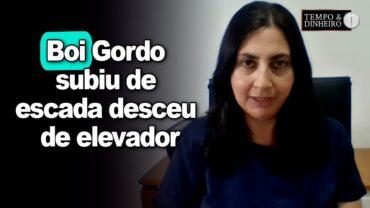 Boi gordo subiu de escada desceu de elevador. Shirley Menezes comenta o movimento do mercado