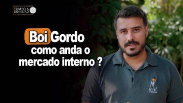 Boi gordo: exportações vão bem e a demanda no mercado interno? Felipe Fabbri analisa momento do boi