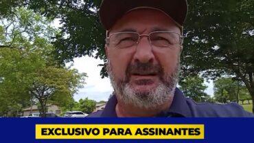 EXCLUSIVO: Gergelim: Brasil amplia a área de cultivo que já passa de 660 mil hectares