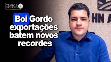 Boi gordo: exportações batem novos recordes mesmo com China tirando o pé do acelerador