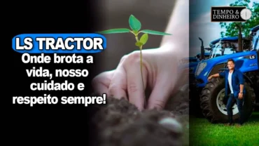 Dia Mundial do Solo, nossa herança mais valiosa e o alicerce que sustenta nossa existência