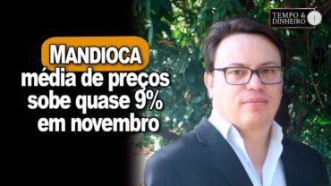 Mandioca: média de preços sobe quase 9% em novembro mas produtores estão insatisfeitos com a produção