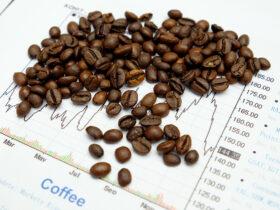 Cafés BR: Produção estimada em 51,81 mi/sacas