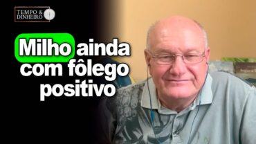 Milho ainda com fôlego positivo, analisa Vlamir Brandalizze