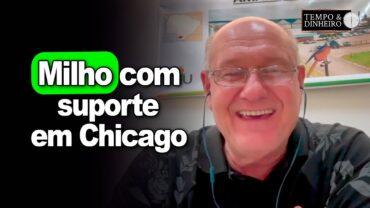 Milho com suporte em Chicago, Vlamir Brandalizze explica