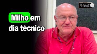 Milho em dia técnico, analisa Vlamir Brandalizze