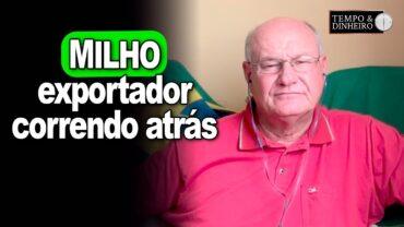 Exportador corre atrás do Milho, analisa Vlamir Brandalizze