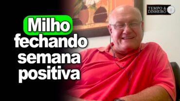 Milho fechando semana positiva, explica Vlamir Brandalizze