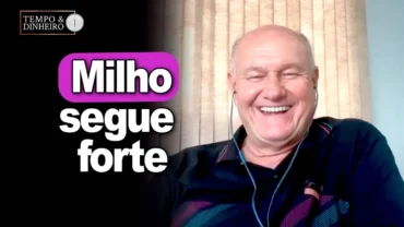 Milho forte após relatório USDA, afirma Vlamir Brandalizze