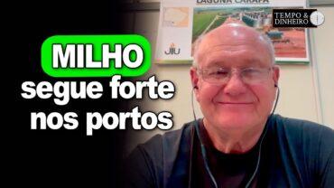 Milho segue forte nos portos, analisa Vlamir Brandalizze