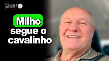 Milho segue o cavalinho, explica Vlamir Brandalizze