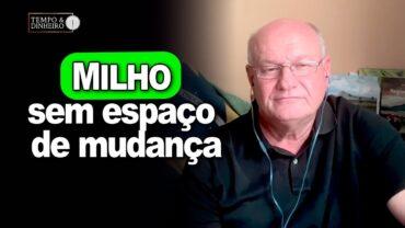 Milho sem espaço de mudança, Vlamir Brandalizze comenta
