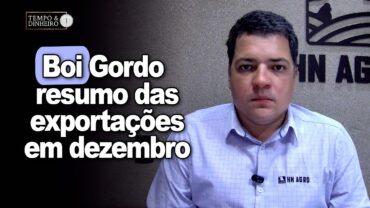 Boi Gordo: como estão as exportações neste mês de Dezembro? Hiberville comenta
