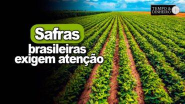 Safras brasileiras exigem atenção para a plantabilidade, manejo contra pragas e doenças