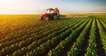 Soja em ritmo de natal, comenta Vlamir Brandalizze