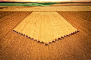 O que esperar com a Super Safra, segundo Vlamir Brandalizze