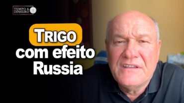 Trigo com efeito Rússia, afirma Vlamir Brandalizze