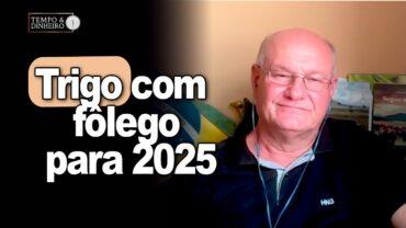 Trigo com fôlego para 2025, explica Vlamir Brandalizze