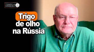 Trigo de olho na Rússia, analisa Vlamir Brandalizze
