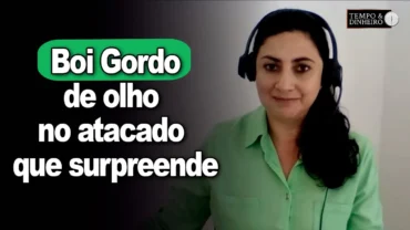 Boi gordo com mercado cauteloso e de olho no atacado que surpreende, diz Shirley Menezes, do CEPEA