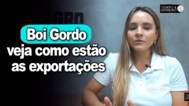 Boi gordo, suínos e aves: veja como estão as exportações com Isabella Camargo