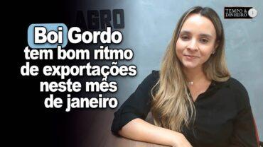 Boi gordo tem bom ritmo de exportações neste mês de janeiro e deve bater recorde