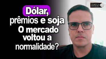 Dólar, prêmios e soja em Chicago. O mercado voltou a normalidade? Maurício Bellinelo comenta