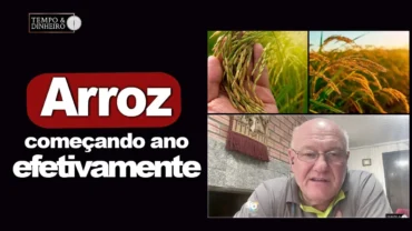 Arroz começando ano efetivamente, comenta Vlamir Brandalizze