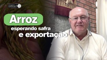 Arroz esperando safra e exportação