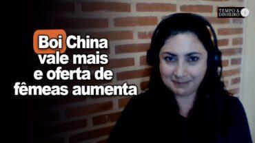 Boi tem direções diferentes e bonificação boi China aumenta em R$10,00, informa Shirlei Menezes