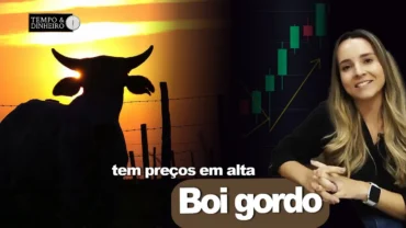Boi gordo tem preços em alta em 15 praças pecuárias. Isabella Camargo comenta o desempenho