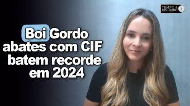 Boi gordo: abates com CIF batem recorde em 2024. As informações com Isabella Camargo