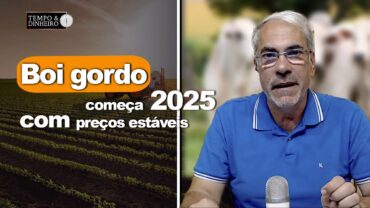 Boi gordo começa 2025 com preços estáveis e negócios devem avançar na próxima semana.