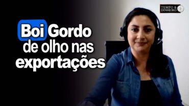 Boi gordo encerra semana com mercado físico firme de olho nas exportações, analisa Shirley Menezes