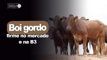 Boi gordo segue com preços firmes no mercado físico e na B3. As informações com Shirley Menezes