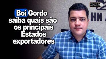Boi gordo: saiba quais são os principais Estados exportadores com Hyberville Neto