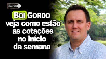Boi gordo abre semana com preços firmes. Thiago Bernardino do CEPEA comenta