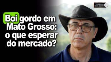 EXCLUSIVO: Boi gordo em Mato Grosso: o que esperar do mercado?