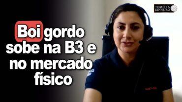 Boi gordo sobe na B3 e no mercado físico diante de pressão compradora da indústria